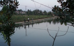 江蘇如皋九華漁場轉讓