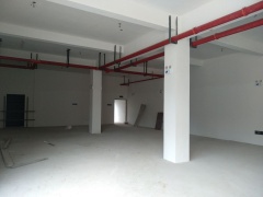 人民路麥德龍附近標準全新廠房，400平起單層面積800平，有