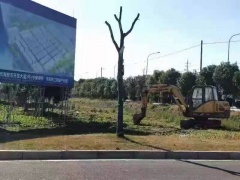 南通 精工智造產業園 單雙層稀缺廠房出售