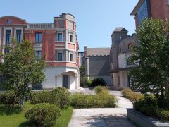 市中心全新優(yōu)質(zhì)廠房出租，面積1000-24000平