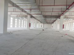 【園區(qū)直招】蘇通園區(qū)，全新廠房，面積1200平~15000平