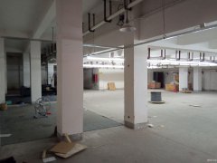 便宜地下倉庫出租，南通植物園南側，交通方便，有獨立大門CC