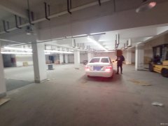 便宜地下倉庫出租，南通植物園南側，交通方便，有獨立大門CC