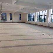 如皋市國資園區單層雙層獨棟廠房 現房租售